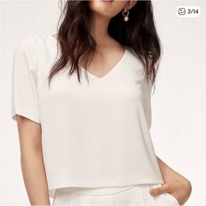 Aritzia Babaton V-Neck Blouse in Cream